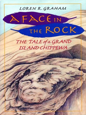 cover image of A Face in the Rock